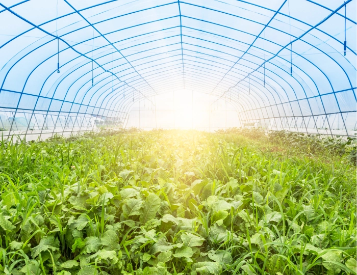 Landwirtschaftliche Verwendung