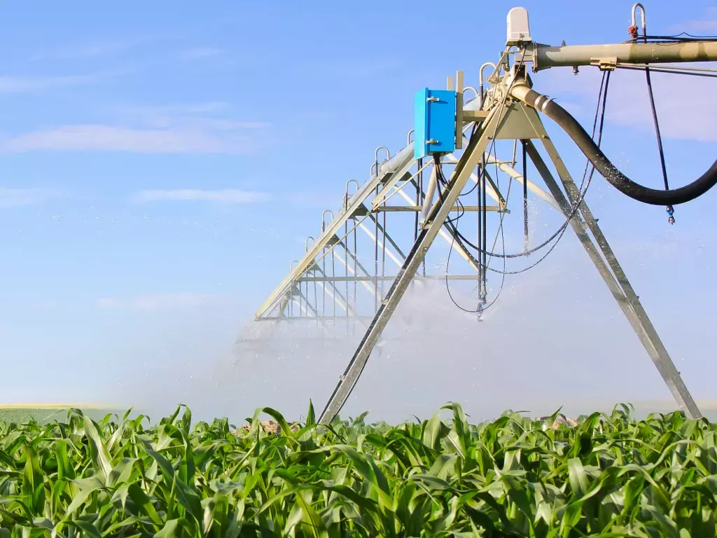 Complex solutions in the food industry